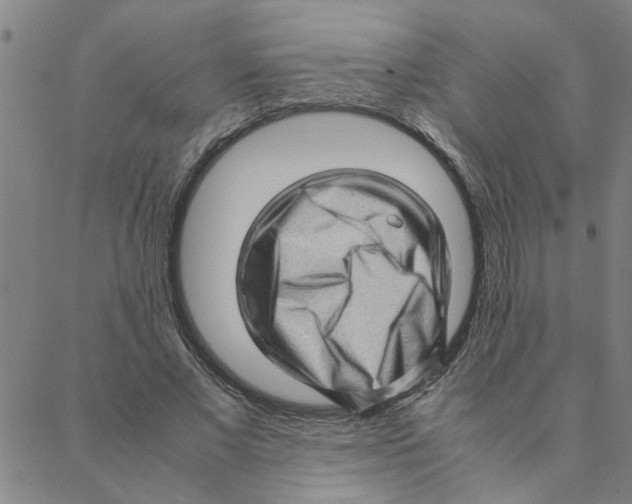 X0000088360685200706191219