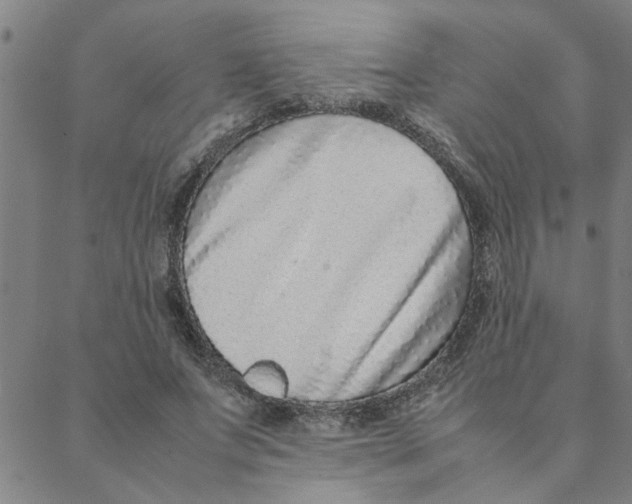 X0000088360687200706191219