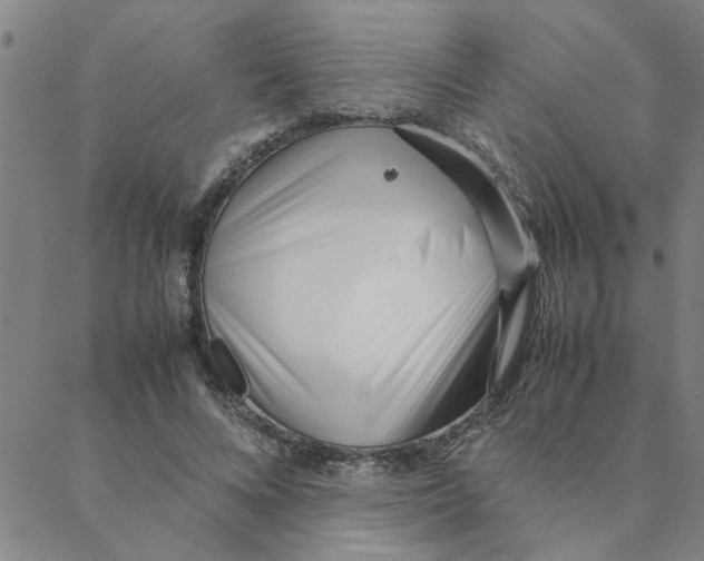 X0000088360688200706191219