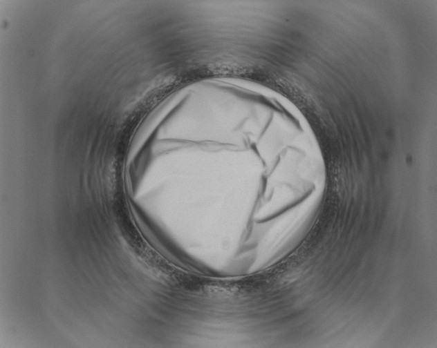 X0000088360690200706191219