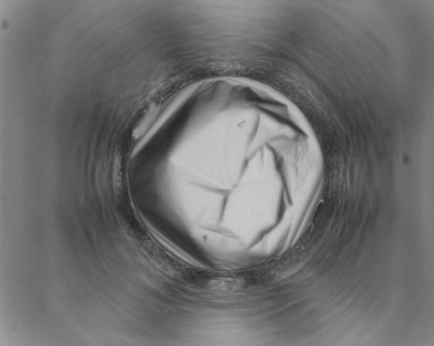 X0000088360700200706191218