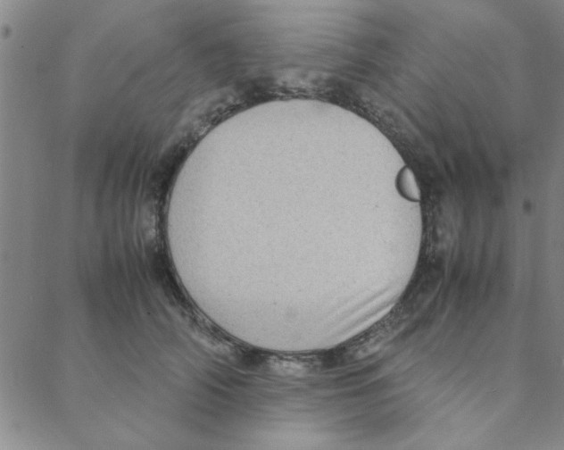 X0000088360706200706191218