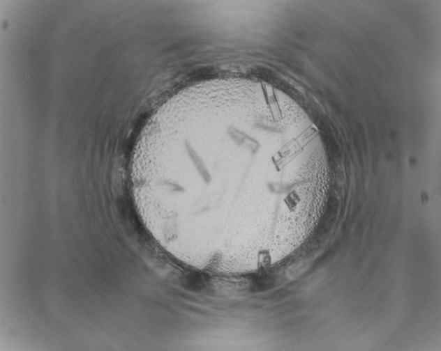 X0000088360707200706191218