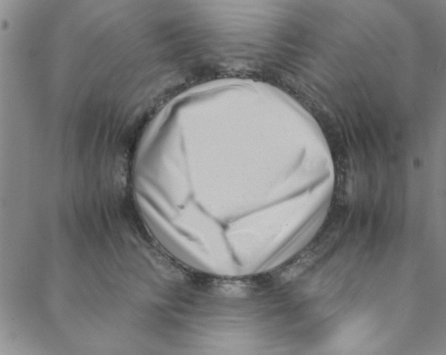 X0000088360710200706191218