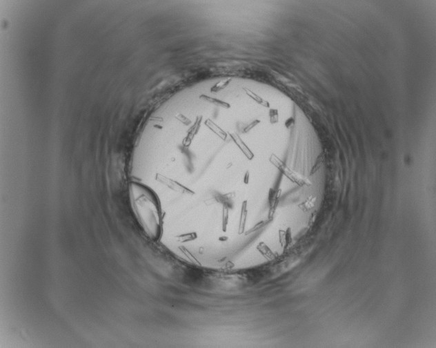 X0000088360711200706191218