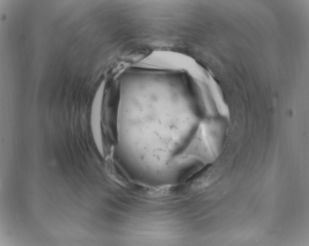 X0000088360720200706191218