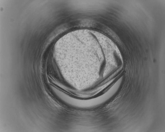 X0000088360722200706191217