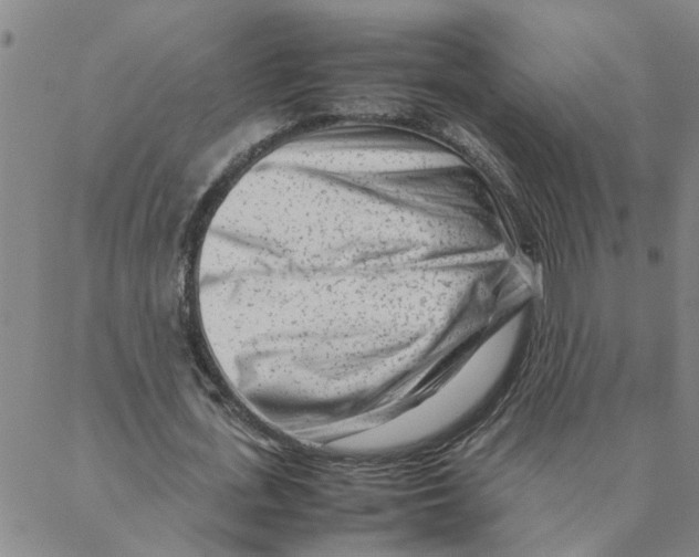 X0000088360723200706191217