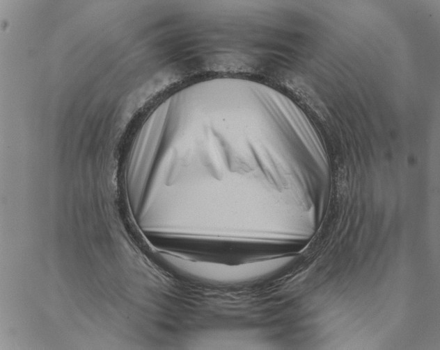 X0000088360727200706191217