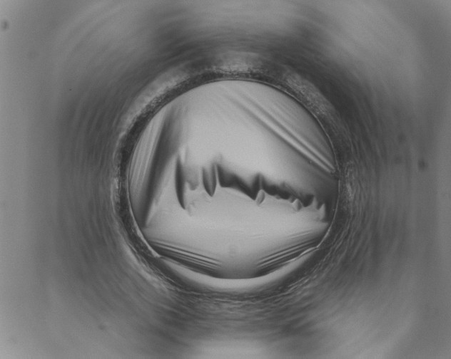 X0000088360728200706191217