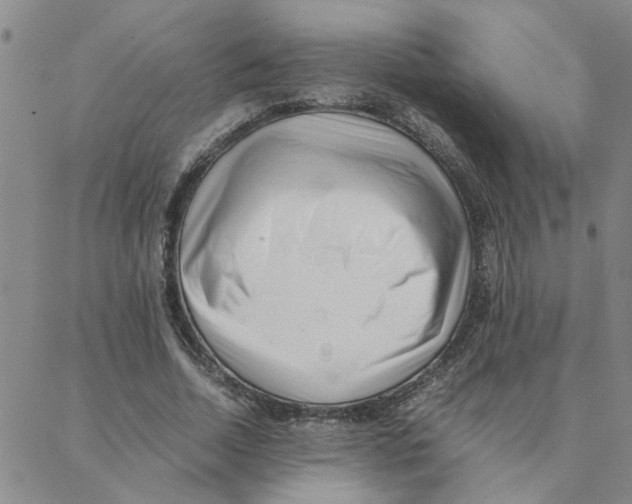 X0000088360730200706191217