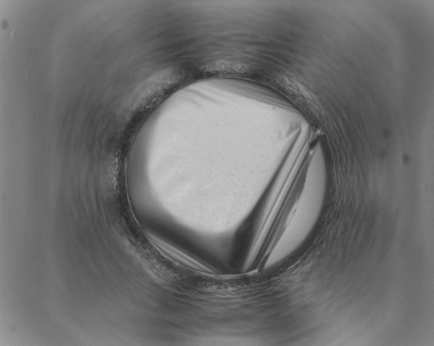 X0000088360735200706191218