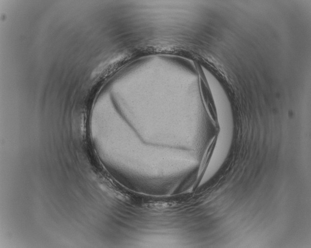 X0000088360740200706191218