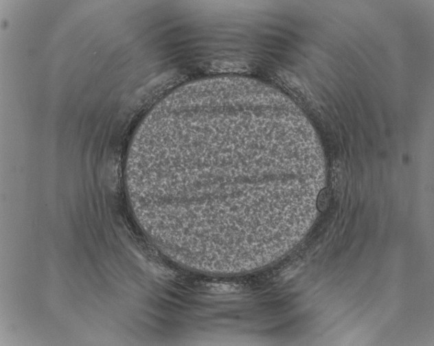 X0000088360741200706191218