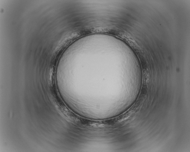 X0000088360742200706191218