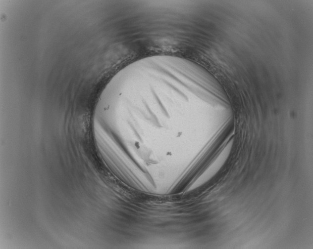 X0000088360747200706191218