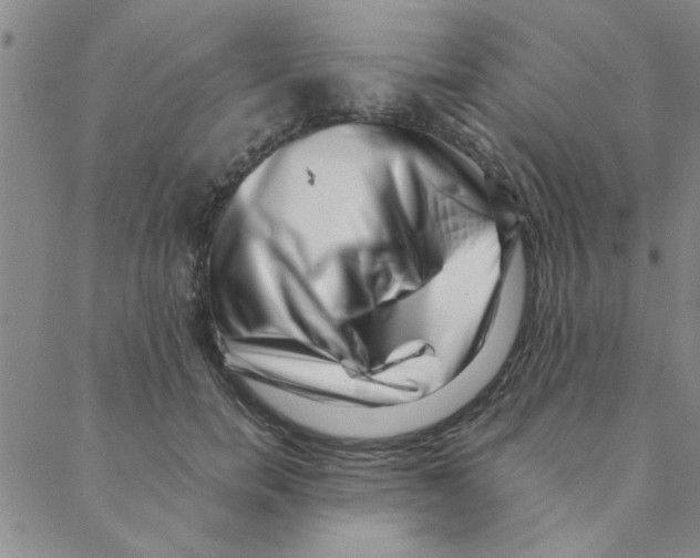 X0000088360750200706191218