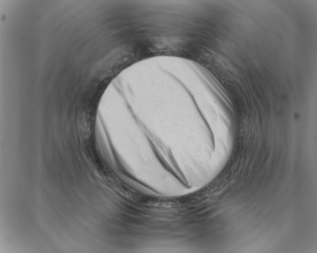 X0000088360751200706191218