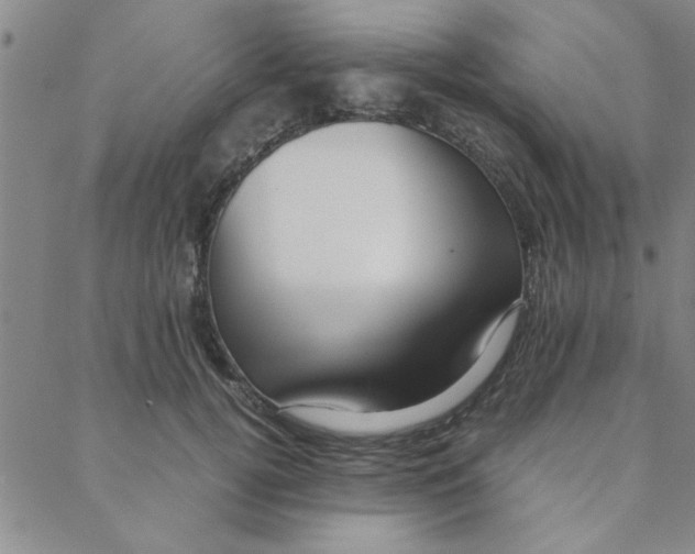 X0000088360752200706191218