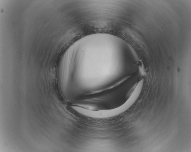 X0000088360756200706191218