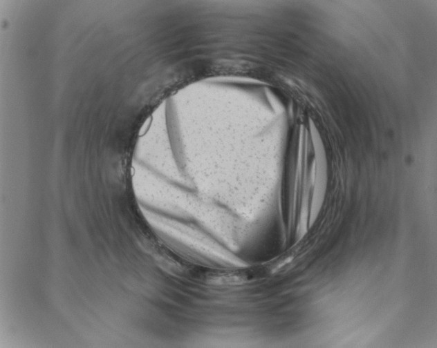 X0000088360759200706191218