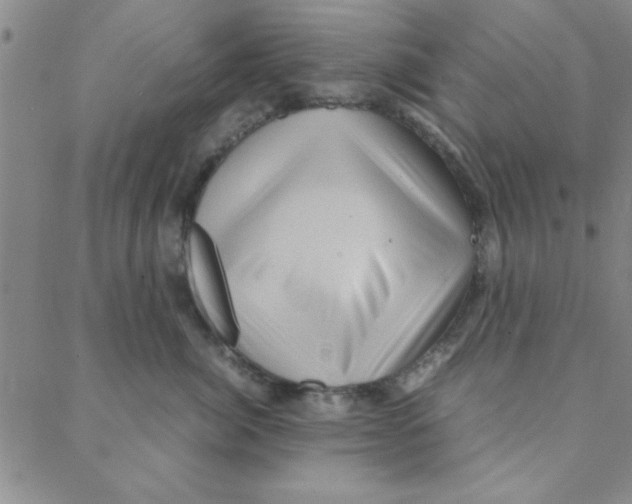 X0000088360764200706191218