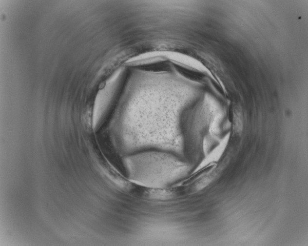 X0000088360766200706191218