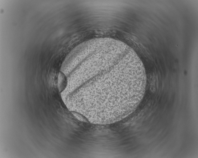 X0000088360770200706191217