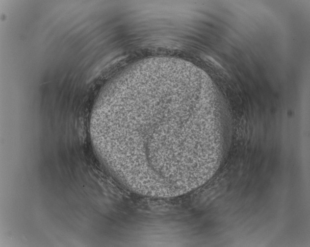 X0000088360774200706191217