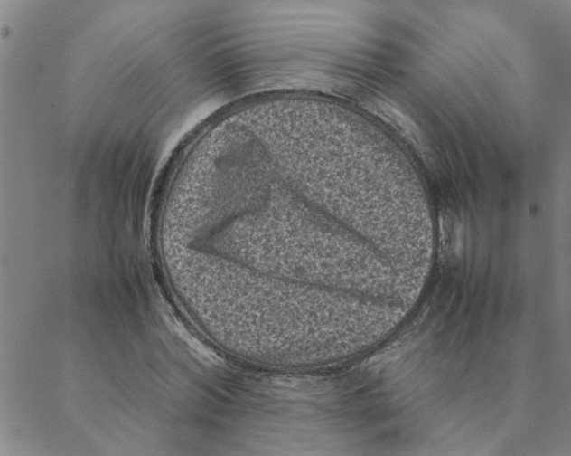 X0000088360780200706191217