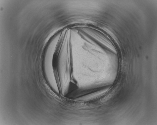 X0000088360783200706191217