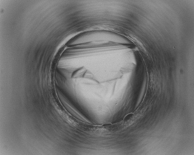 X0000088360784200706191217