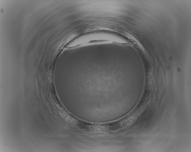 X0000088360785200706191217