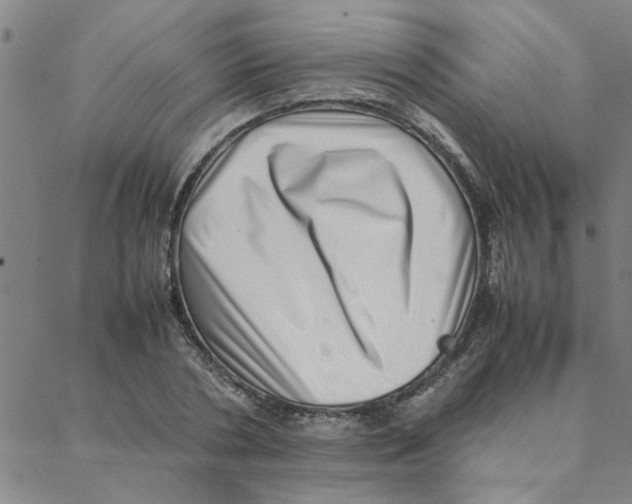 X0000088360786200706191217
