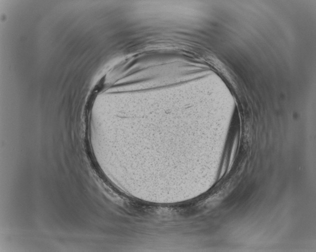X0000088360787200706191217