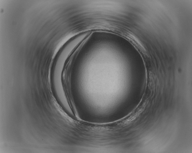 X0000088360788200706191217