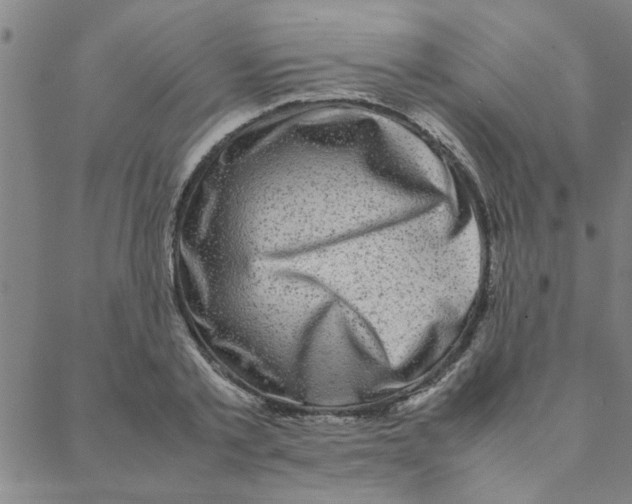 X0000088360789200706191217