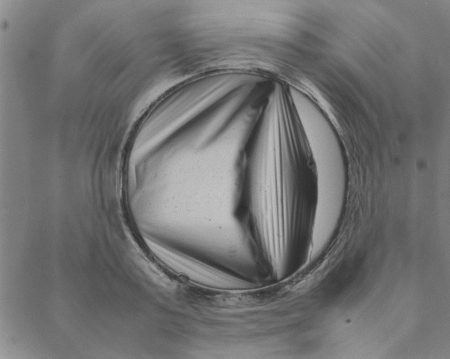 X0000088360795200706191217