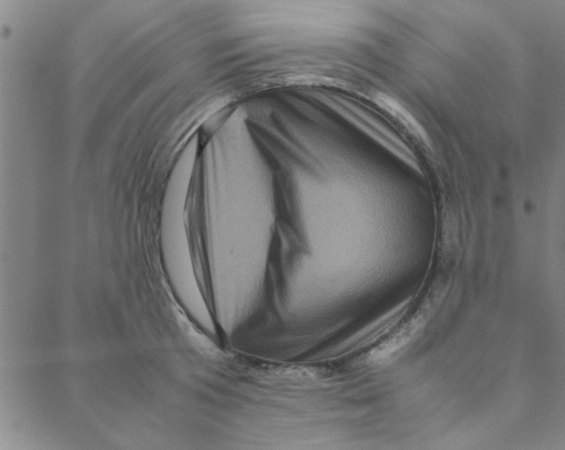 X0000088360801200706191217