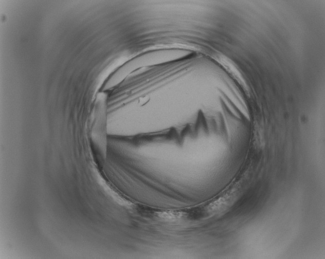 X0000088360805200706191217