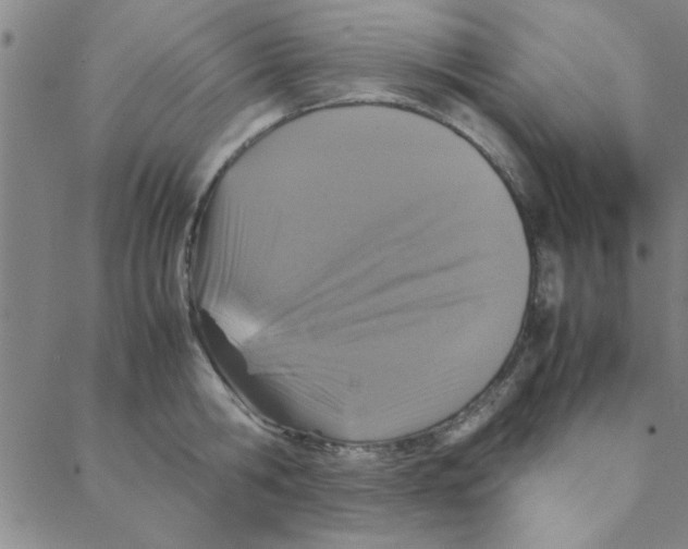 X0000088360806200706191217