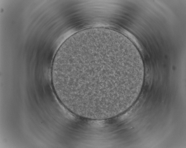 X0000088360810200706191217