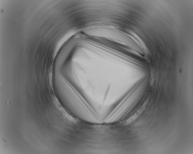 X0000088360812200706191217