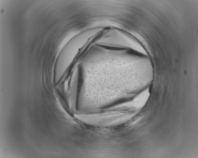 X0000088360815200706191217