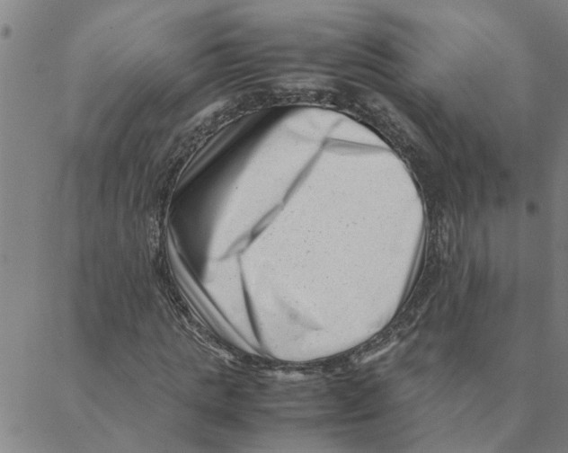 X0000088360821200706191216
