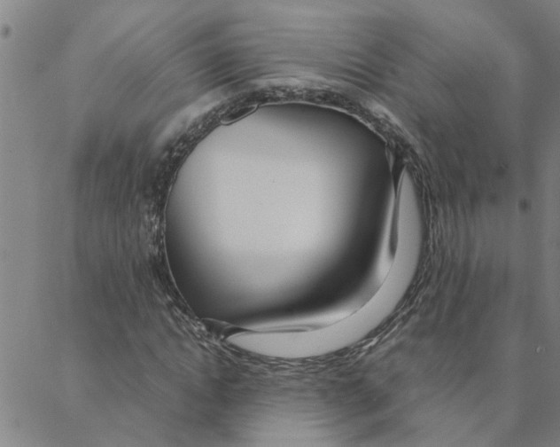 X0000088360822200706191216