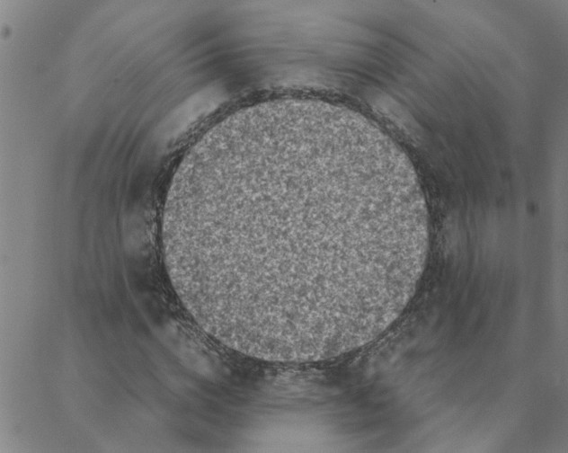 X0000088360824200706191216