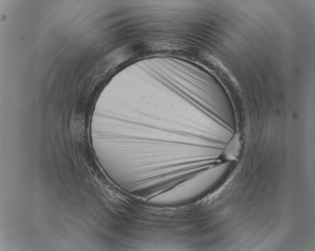 X0000088360825200706191216