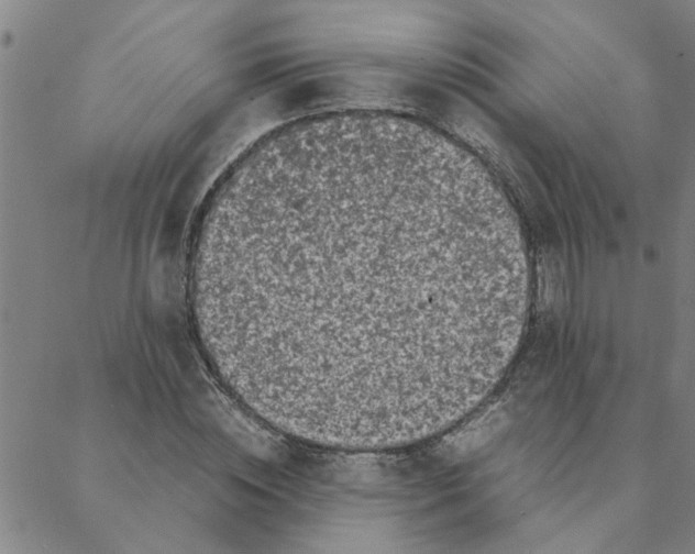 X0000088360828200706191216