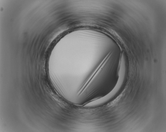 X0000088360830200706191216